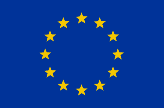 Digital Single Market - Digital Transformation