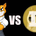 dogecoin vs shiba inu critical comparison