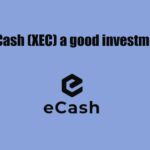 is ecash a good investment in 2021