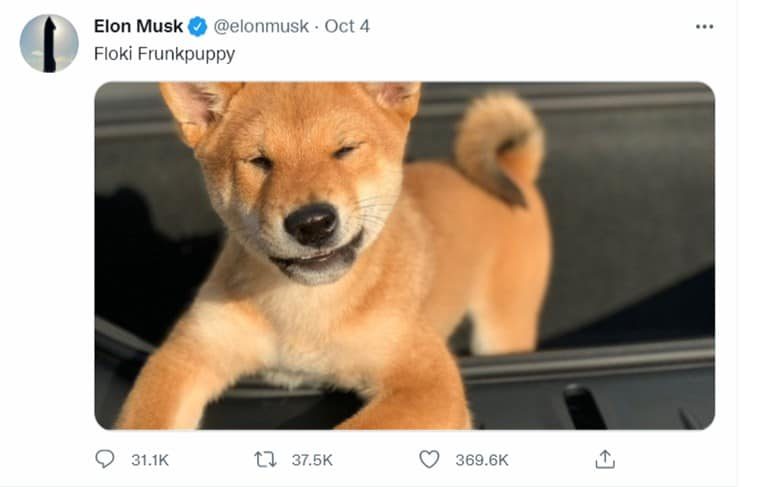 Tweet By Elon Musk : Shiba Inu dog Floki Frunkpuppy caused upward price movements for some SHIB themed coins.