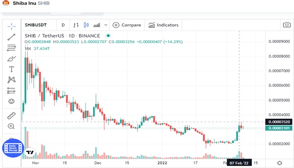 shiba inu bull run like cryptocurrencies bull run