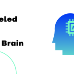 Neural Network 2022- Artificial intelligence system modeled on the human brain.