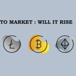 Will the Crypto Market Survive and rise again ?