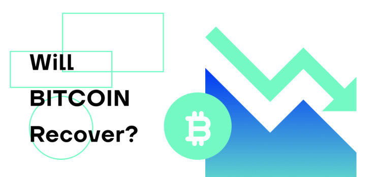 The 2022 Market Crash; How Soon will Bitcoin Recover?