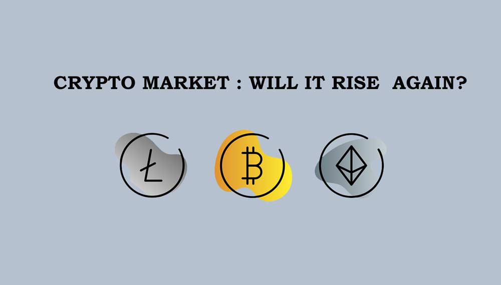 Will the Crypto Market Survive and rise again ?
