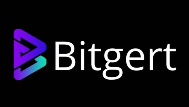 Exploring Bitgert: Crazy comparison with Shiba INU