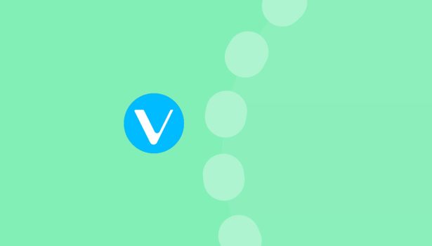 VeChain the present and the future