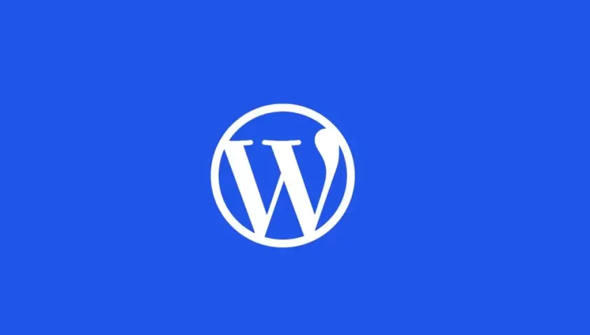 Wordpress Plugin Script